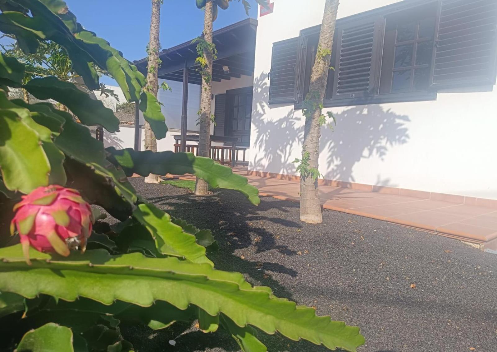Casa Pacuco Teseguite