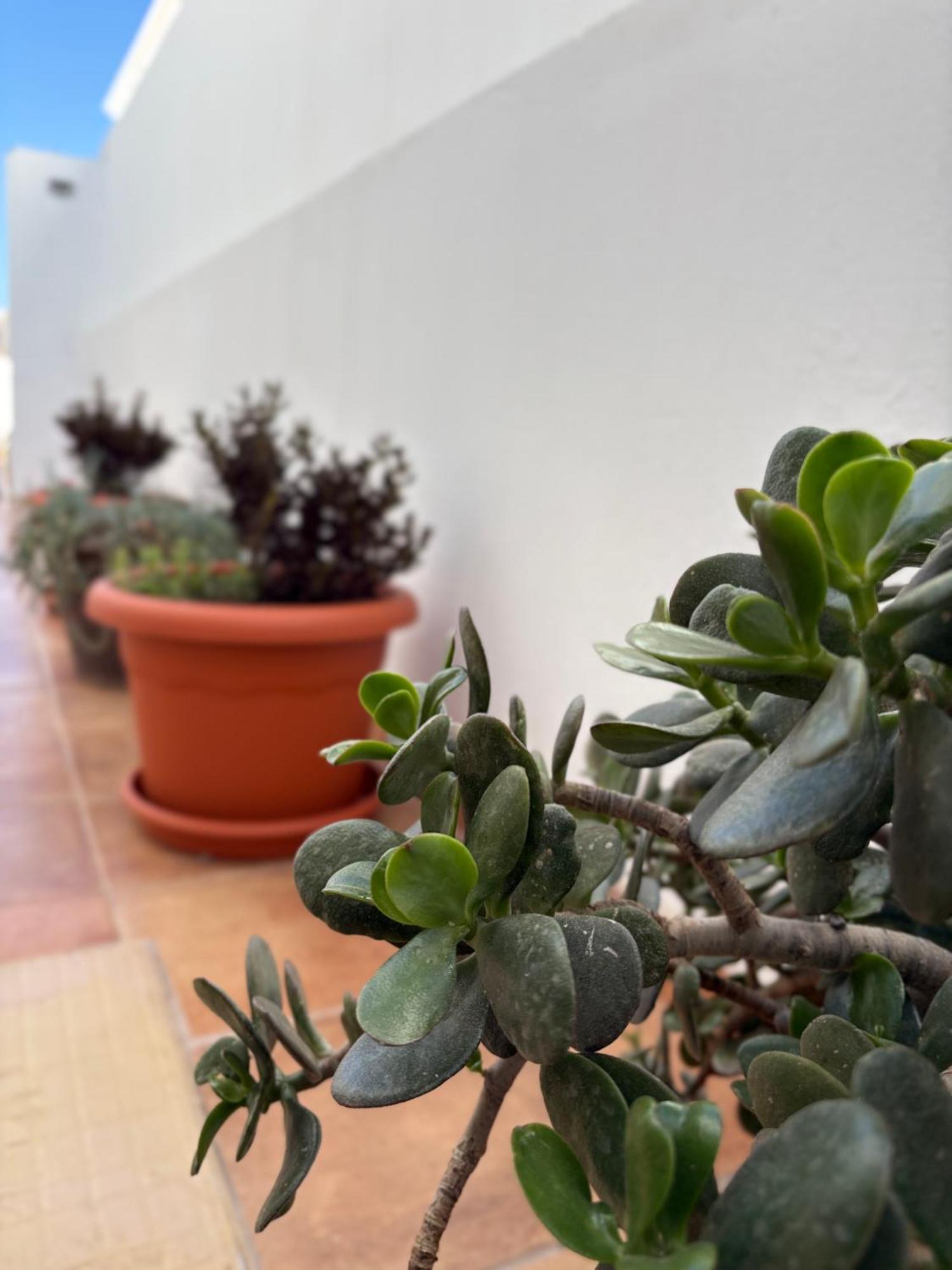 Red Apartment Playa Honda (Lanzarote)