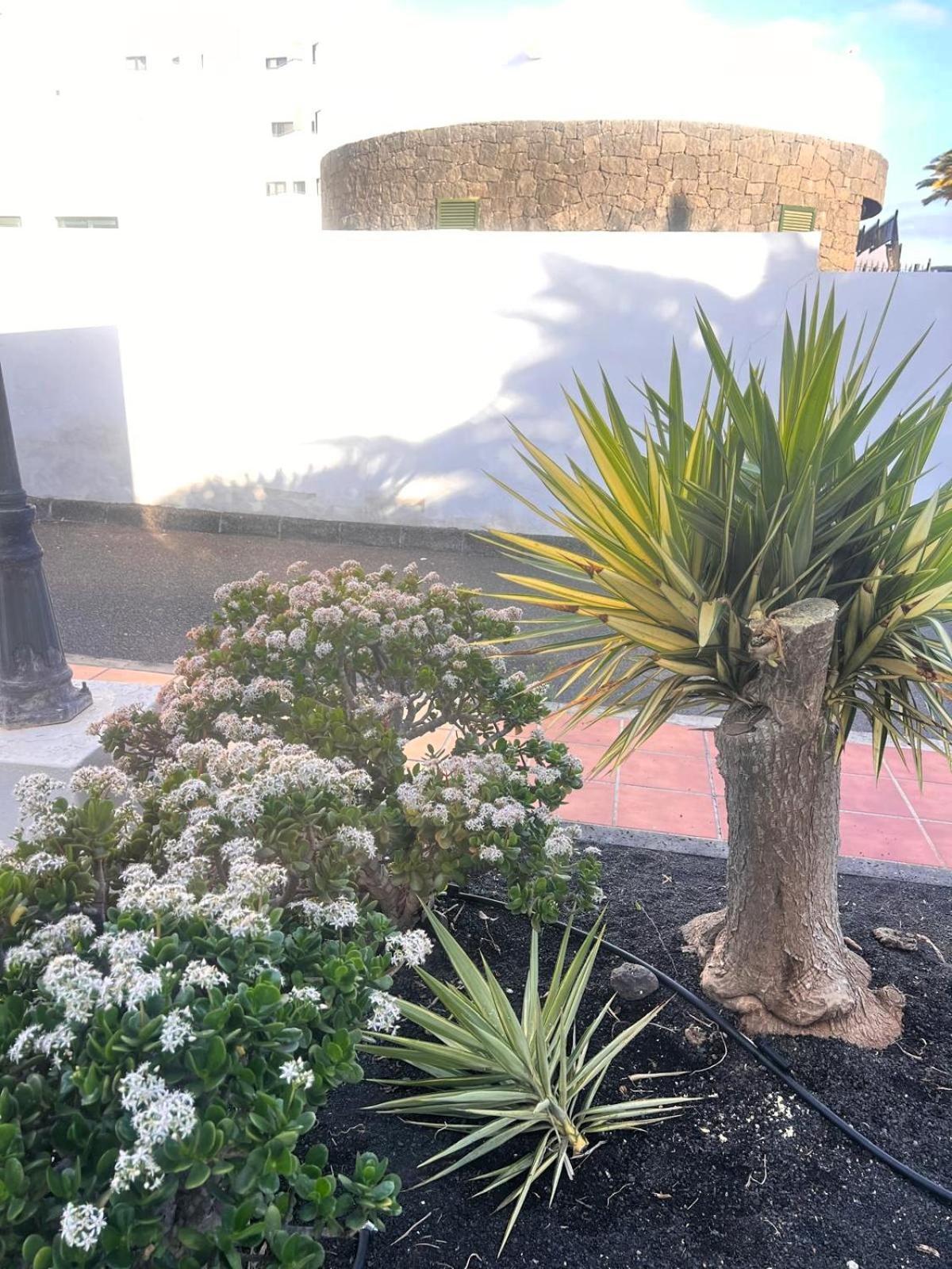 Casa Sol Apartment Costa Teguise
