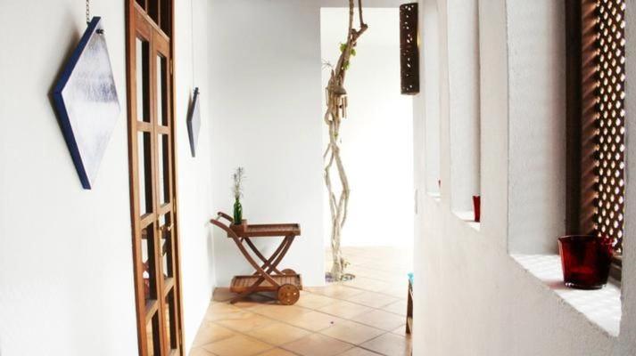 Casa Hibisco Mit Schoenem Garten