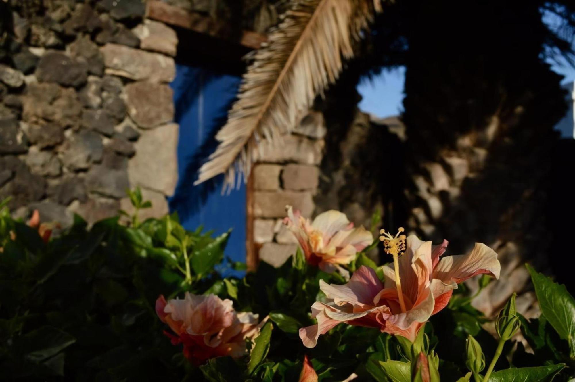 Casa Hibisco Mit Schoenem Garten Apartamento *