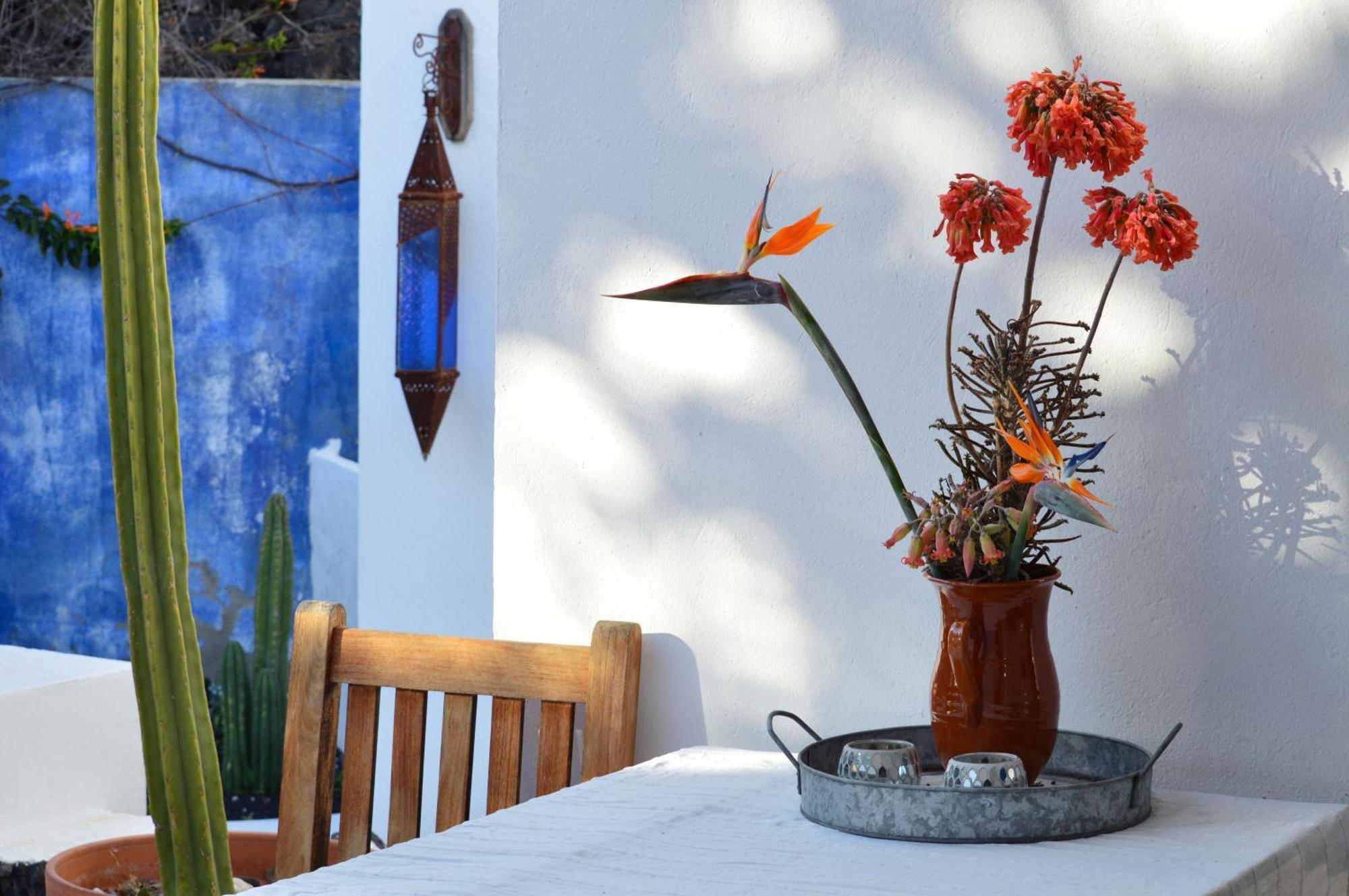 Casa Hibisco Mit Schoenem Garten Apartamento *