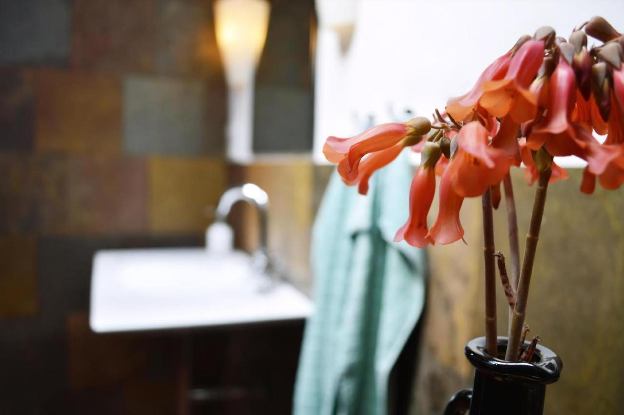 Apartamento Casa Hibisco Mit Schoenem Garten Uga