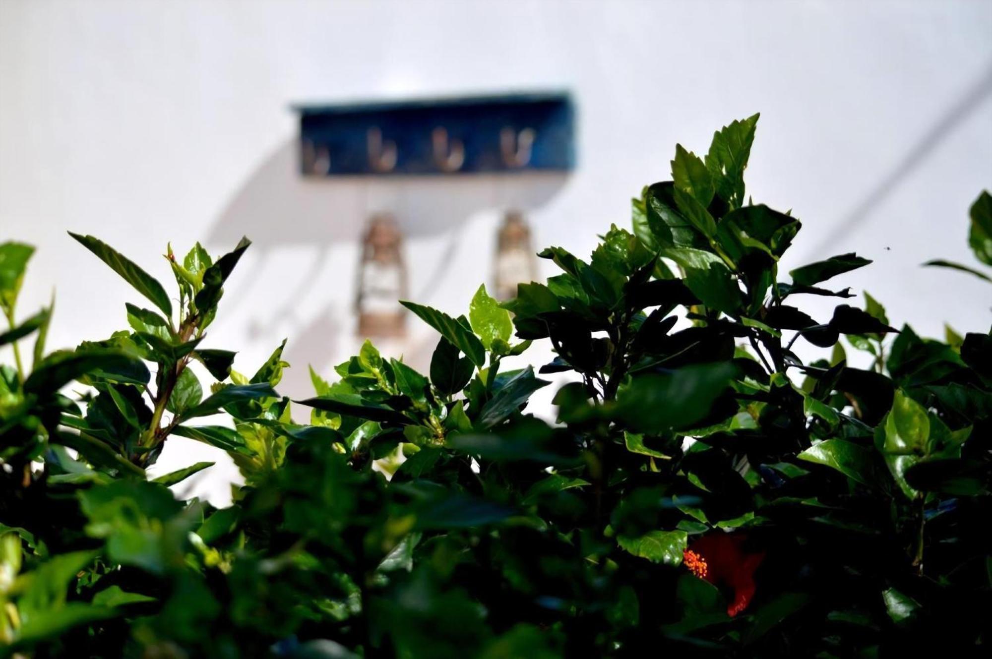 Casa Hibisco Mit Schoenem Garten Uga