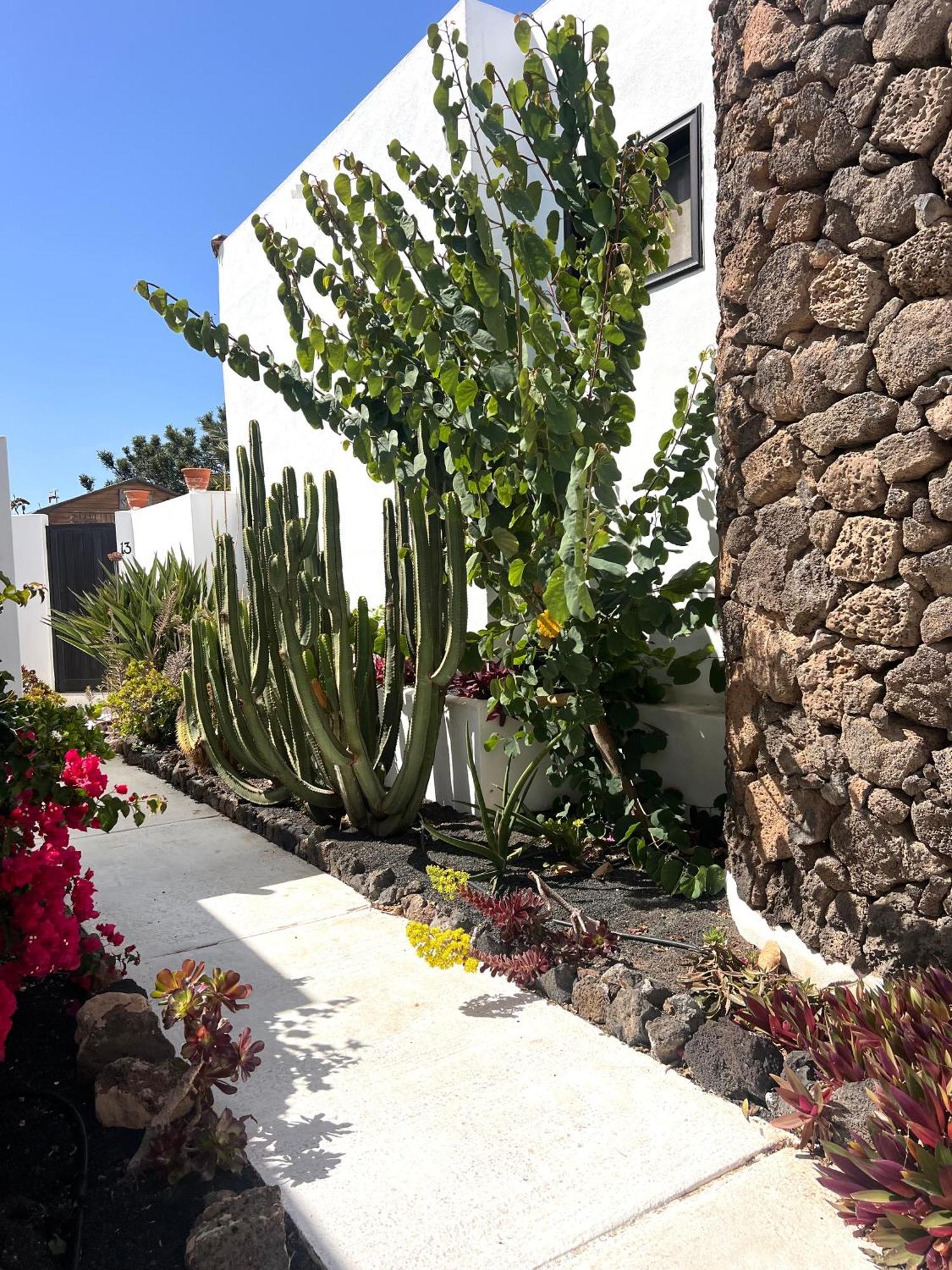 Oasis En Lanzarote * Costa Teguise