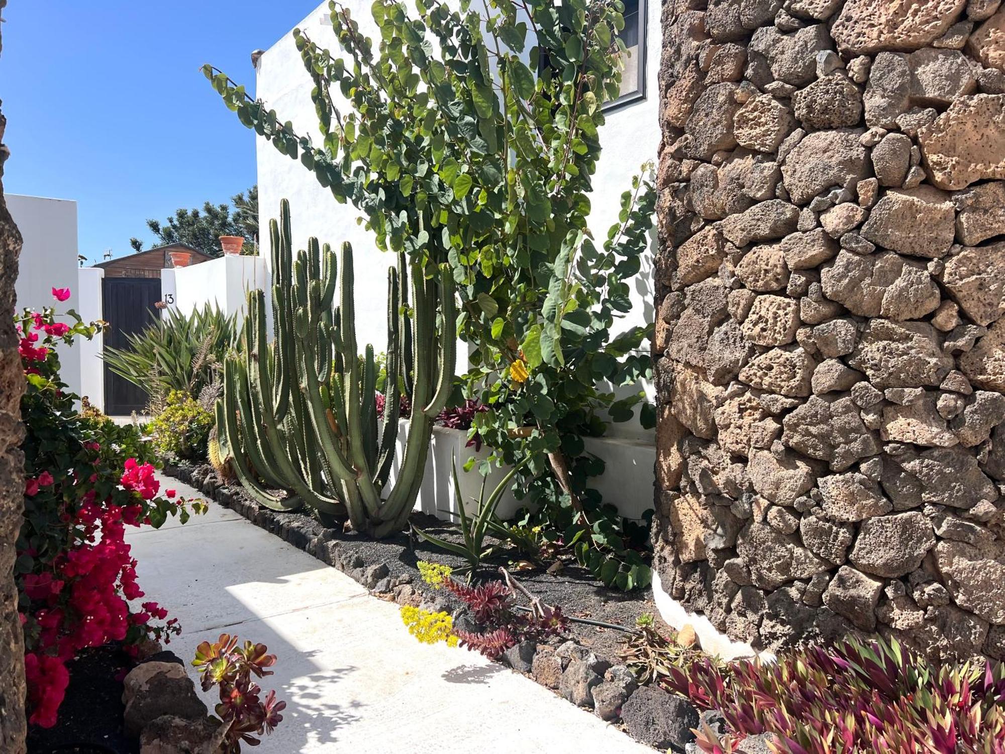 Oasis En Lanzarote Costa Teguise