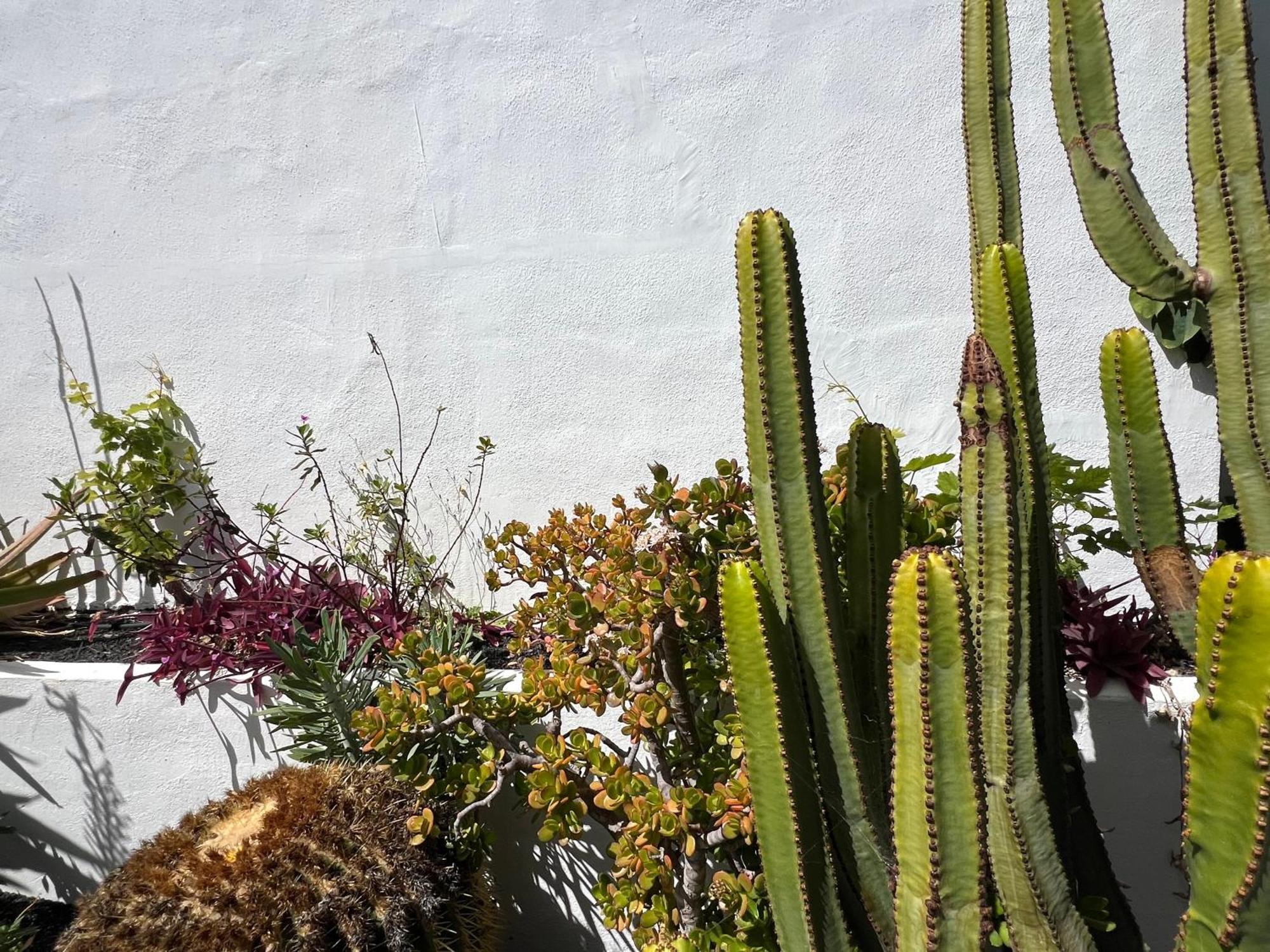 Oasis En Lanzarote Holiday home