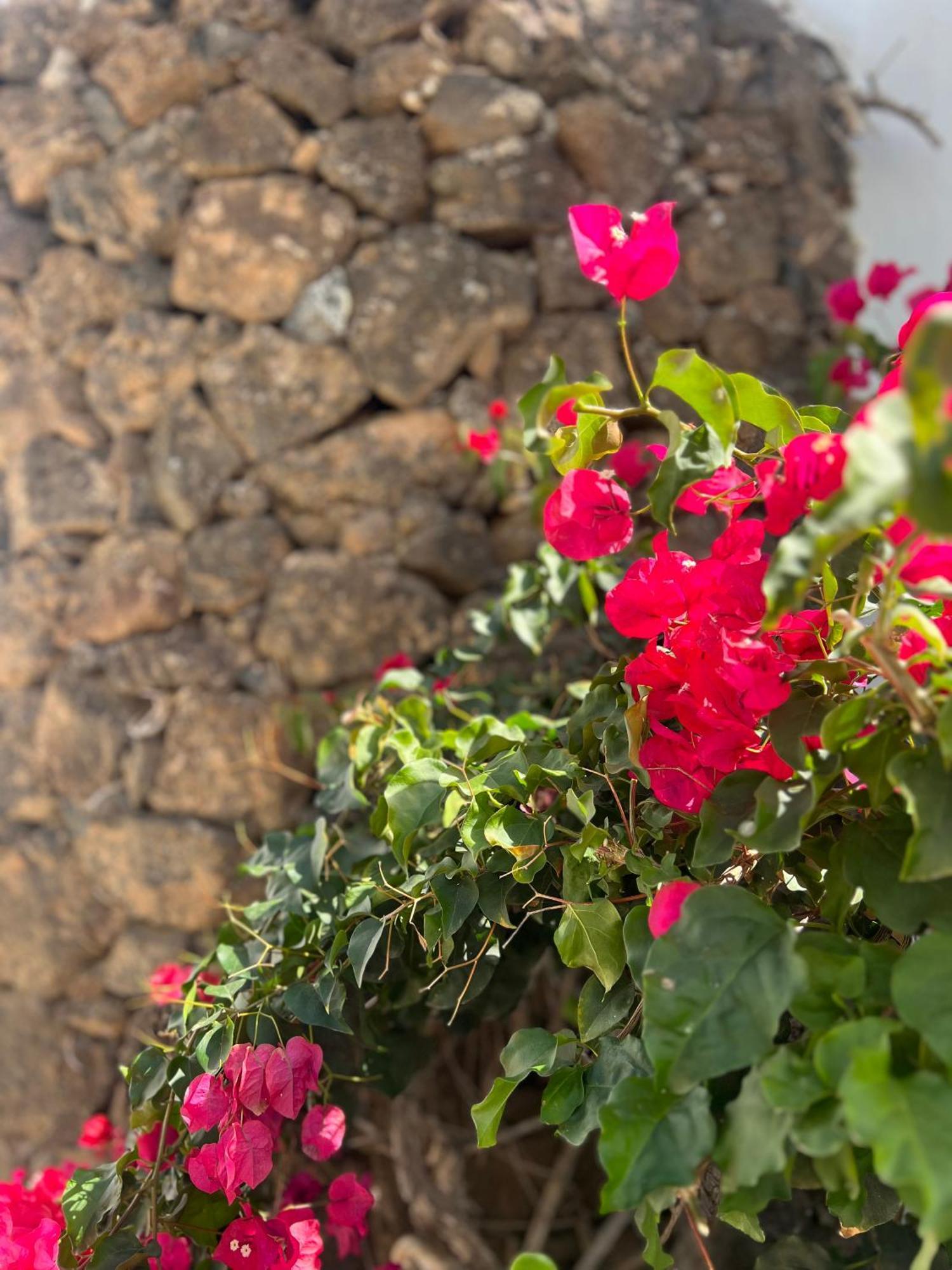 Holiday home Oasis En Lanzarote *