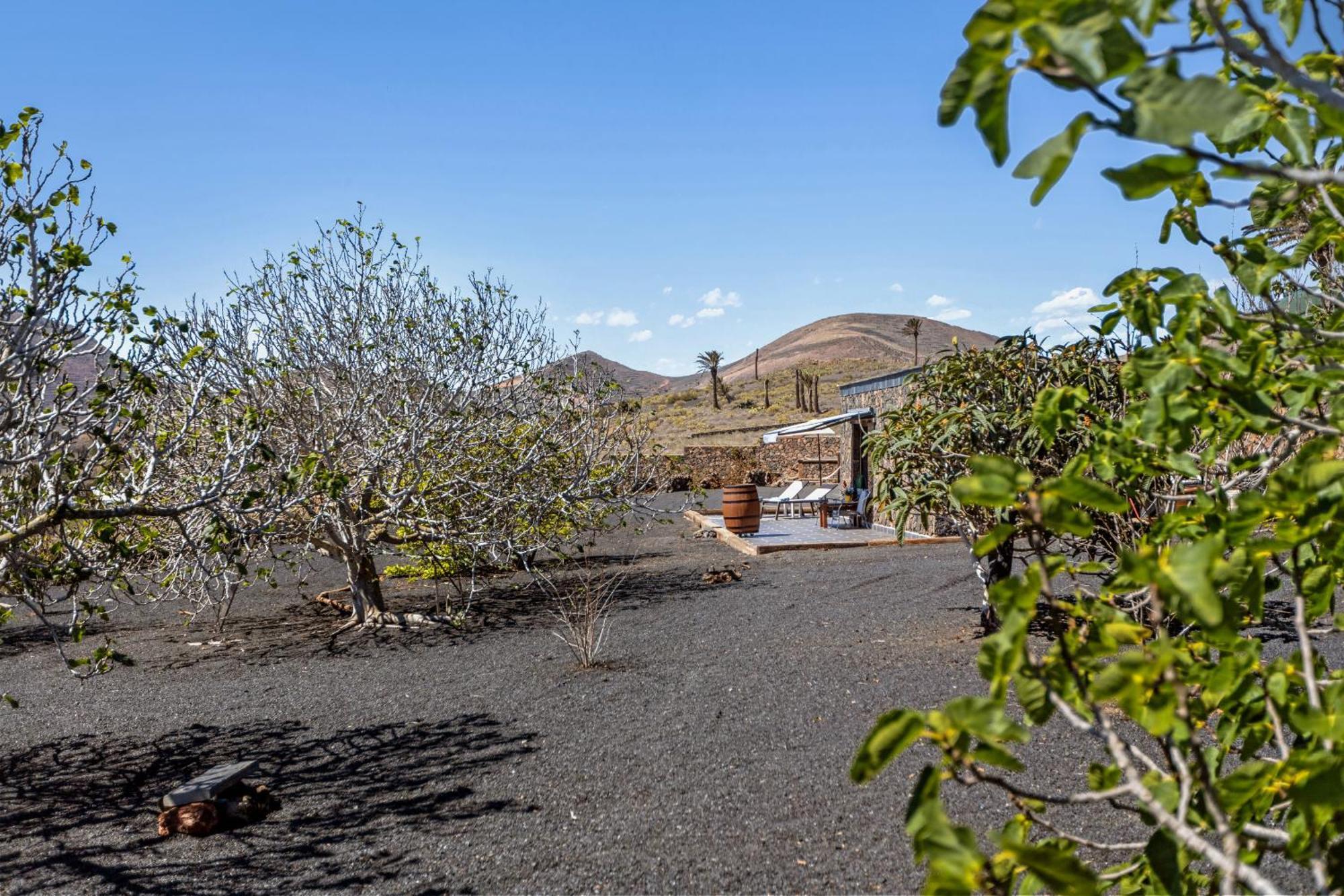 La Molina Lanzarote Holiday home *