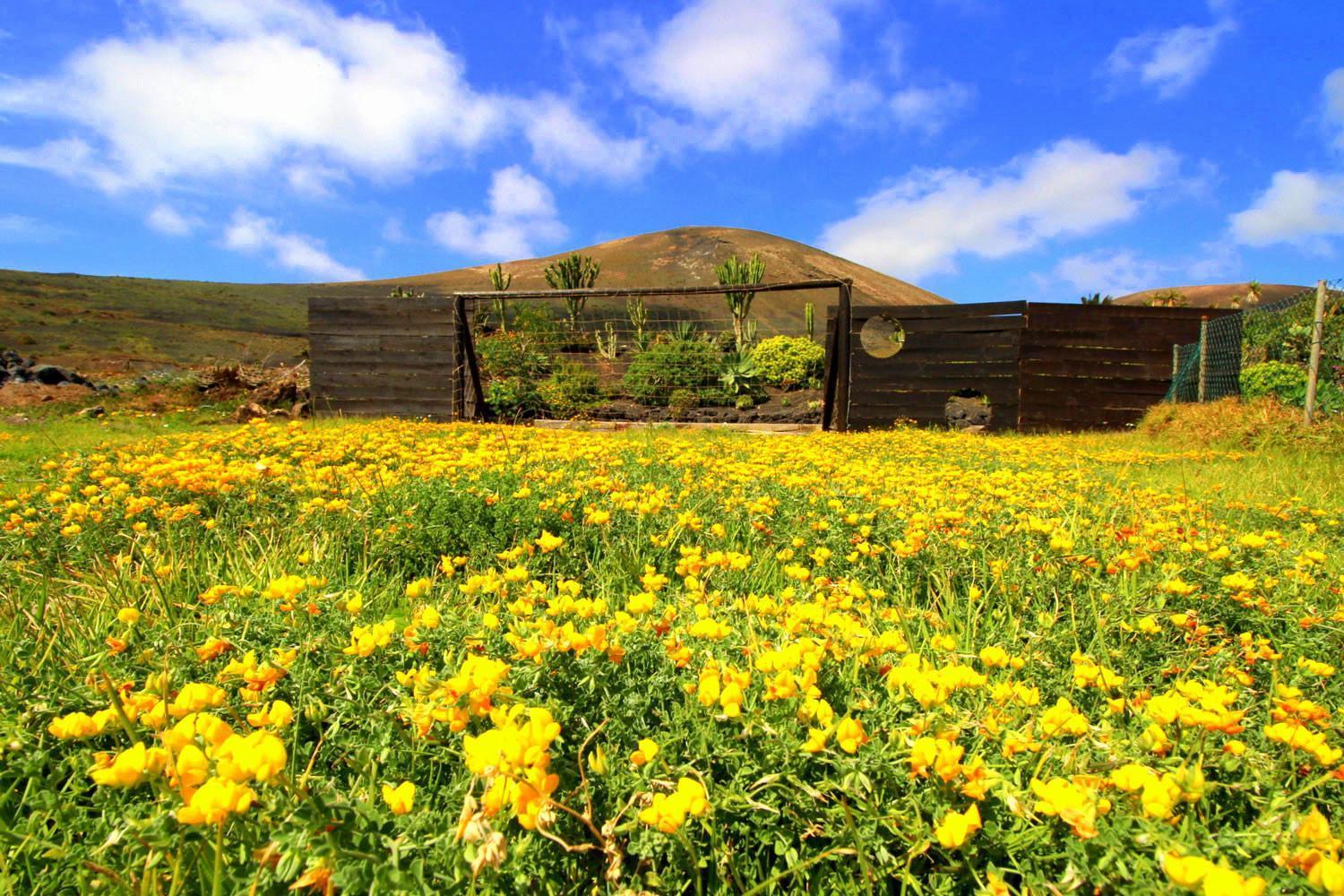 Casa La Concha * La Asomada (Lanzarote)