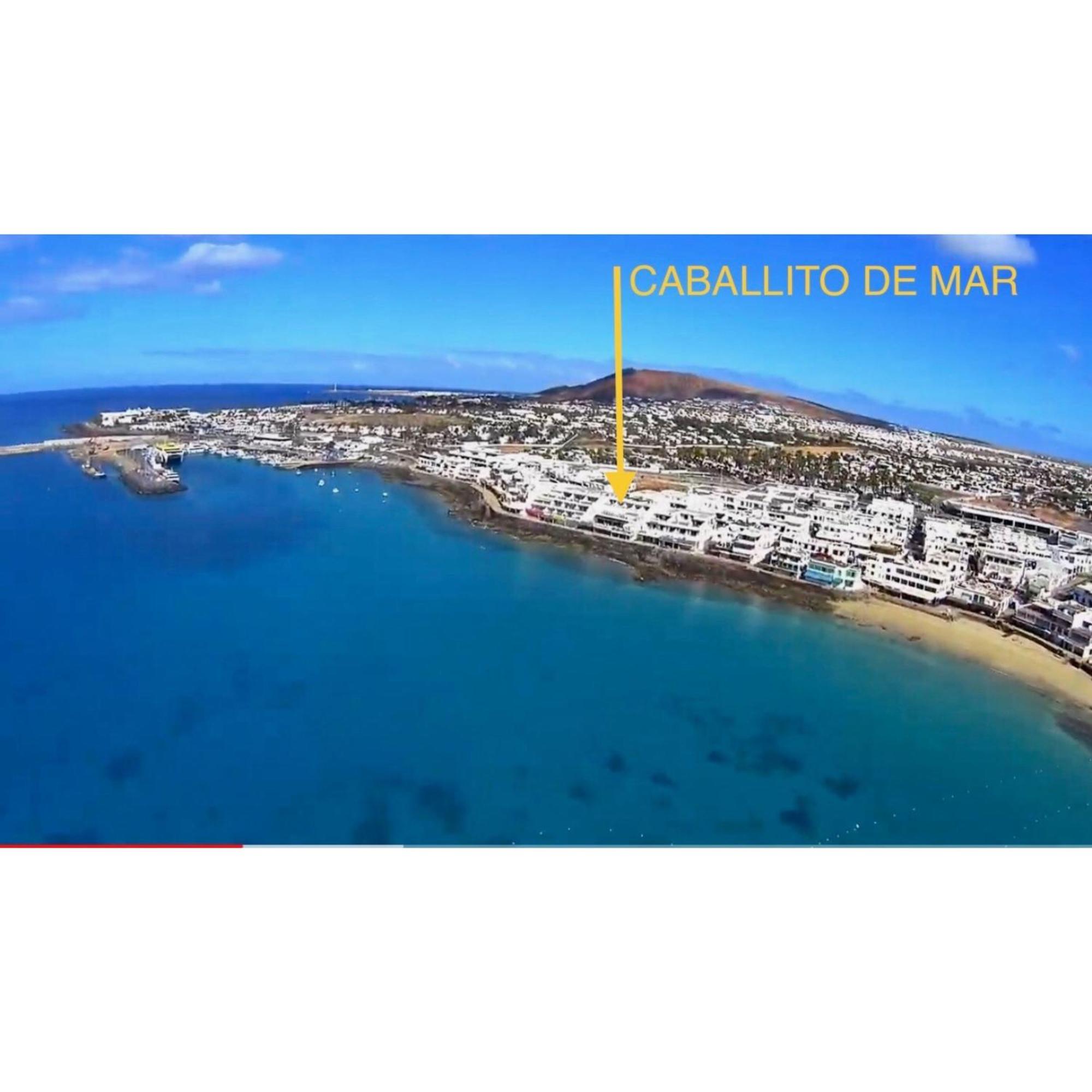 Apartamento Caballito De Mar - Seahorse Playa Blanca (Lanzarote)