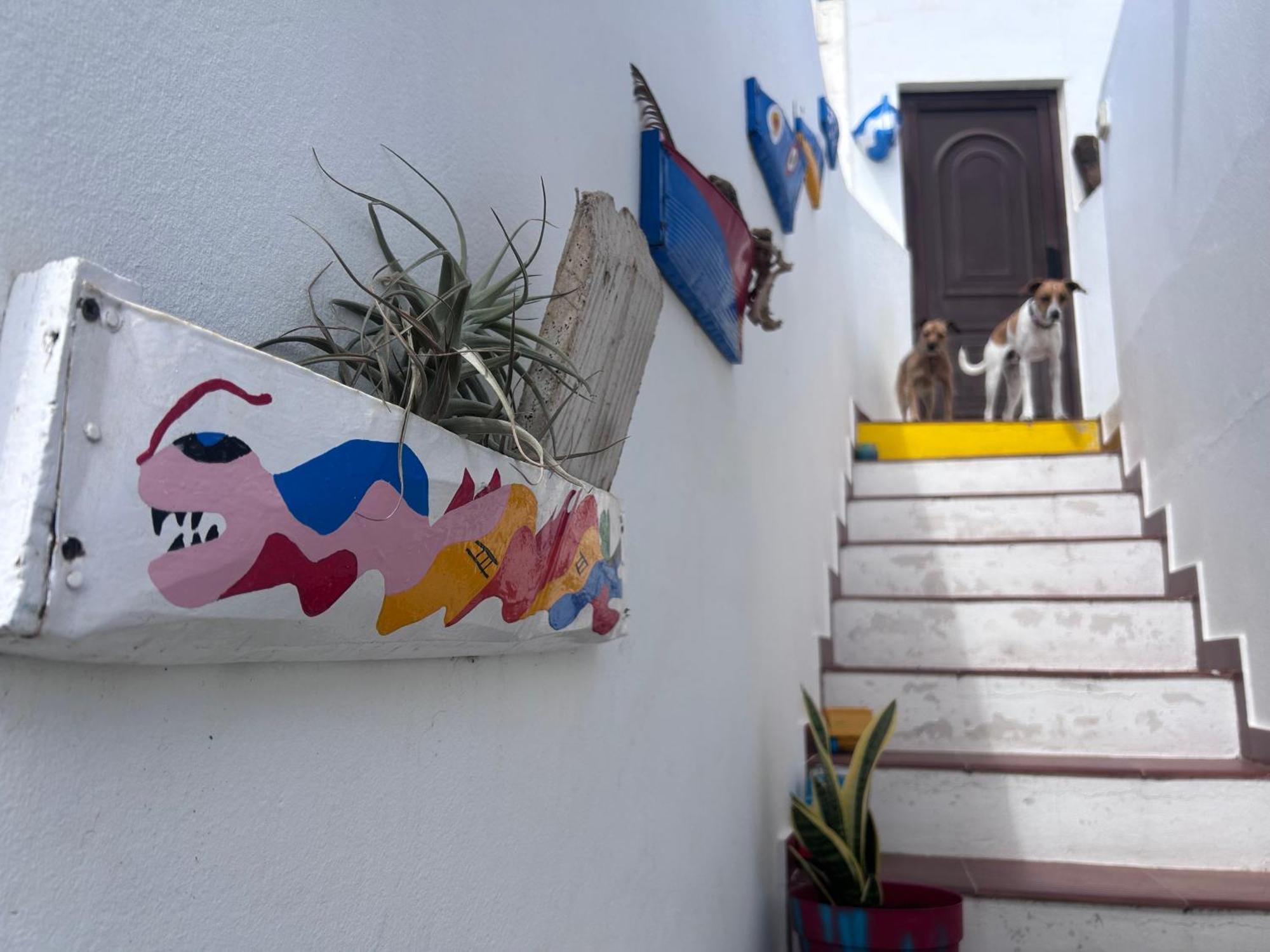 La Buganvilla Rooms Arrecife (Lanzarote)