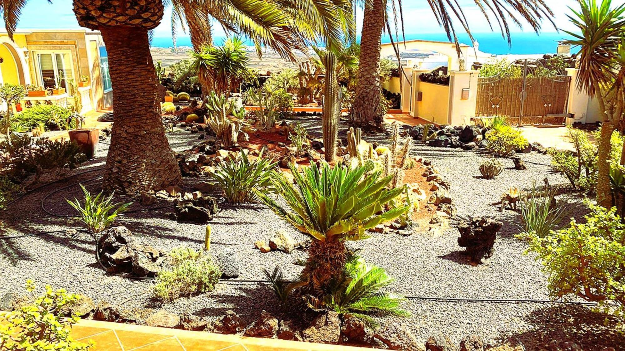 Madora - Sea View - Amazing Garden - Quiet Location - Bodegas & Hiking Trails Nearby * La Asomada (Lanzarote)