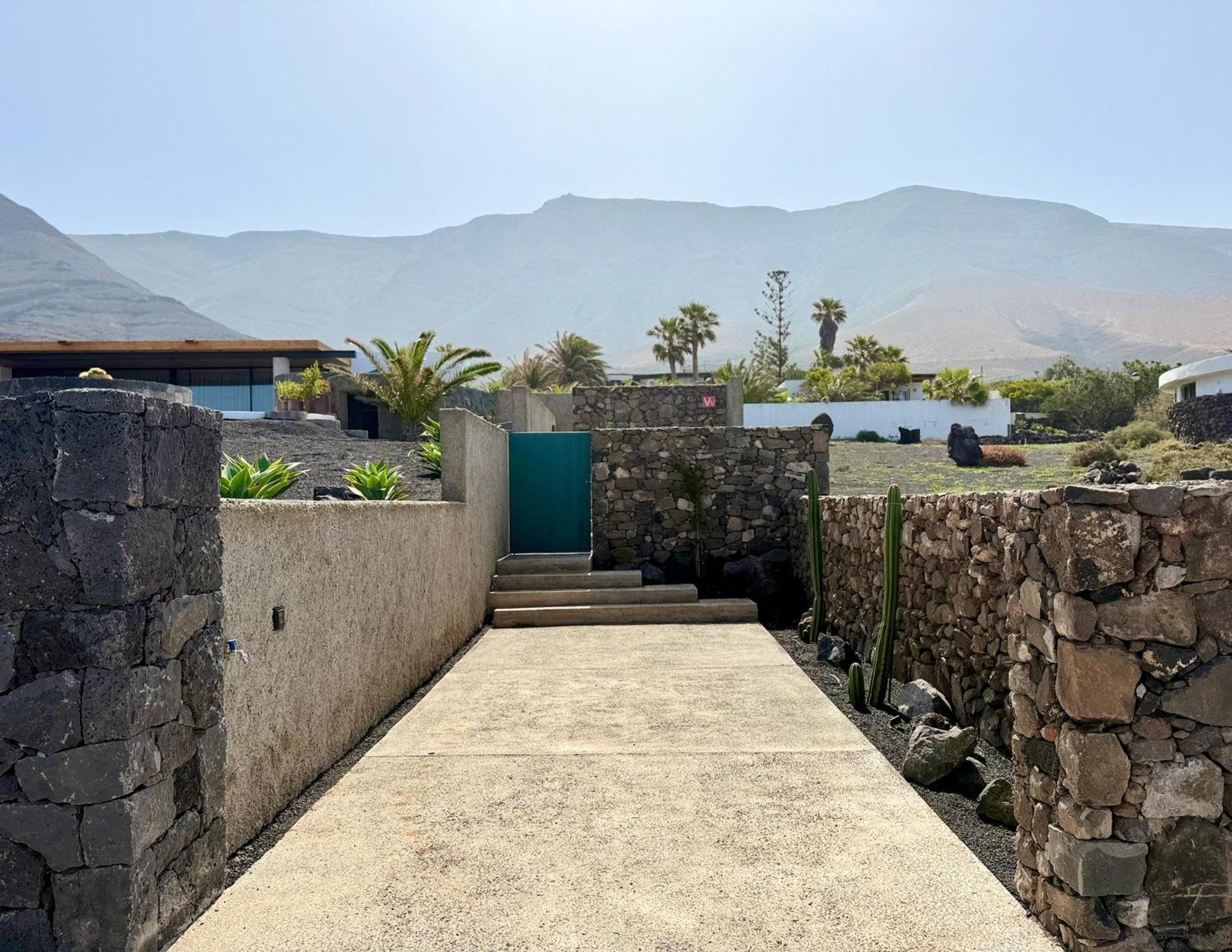 Canaryislandshost I Oliva *