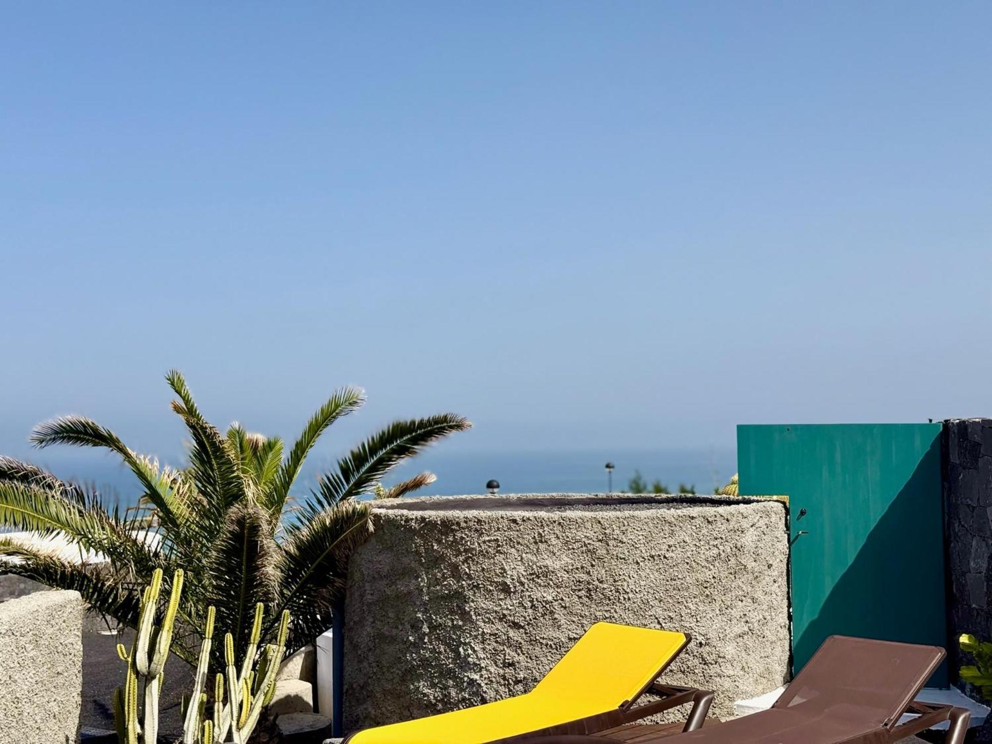 Canaryislandshost I Oliva Famara