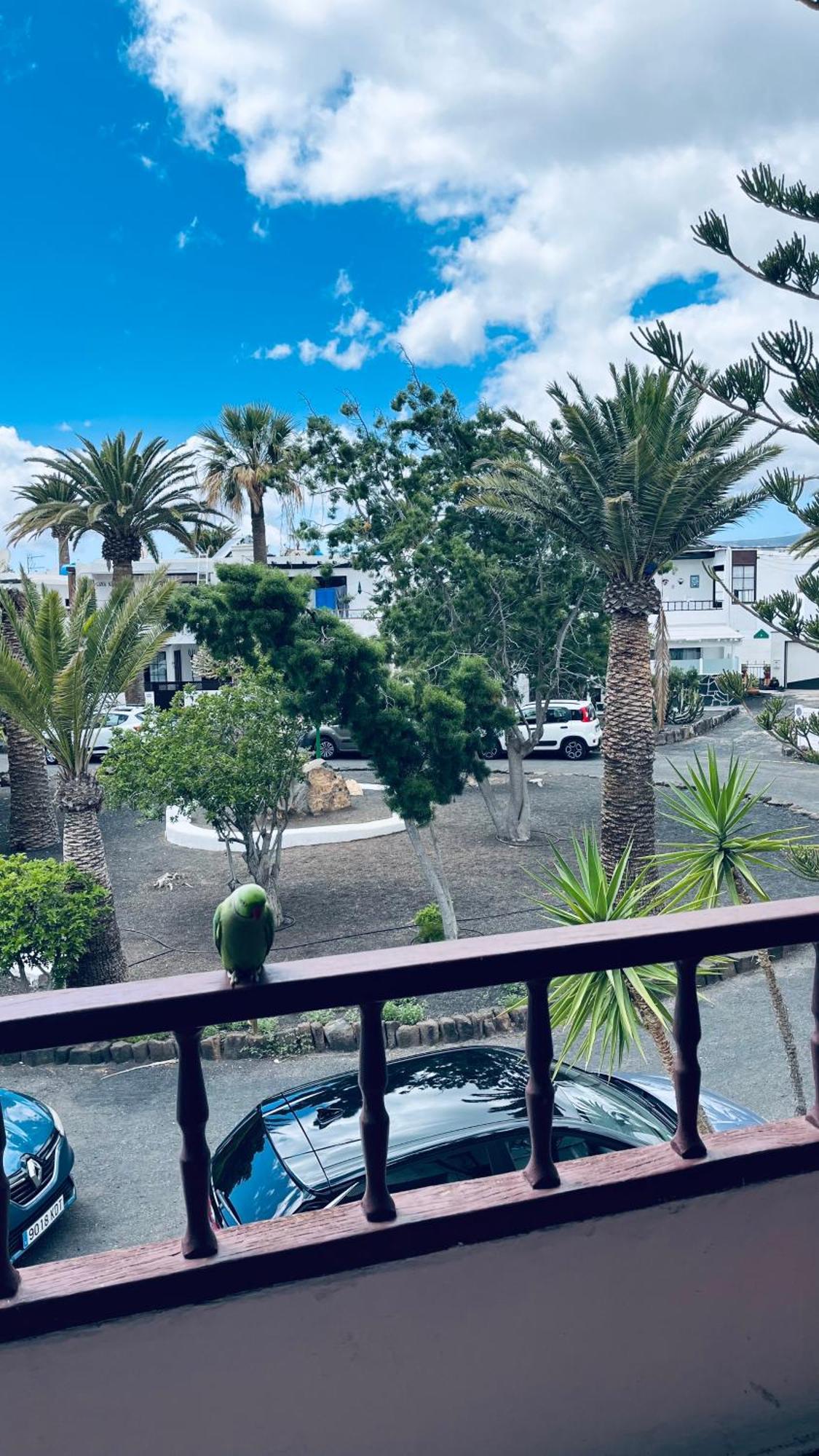 Apartment Caletones Puerto del Carmen (Lanzarote)
