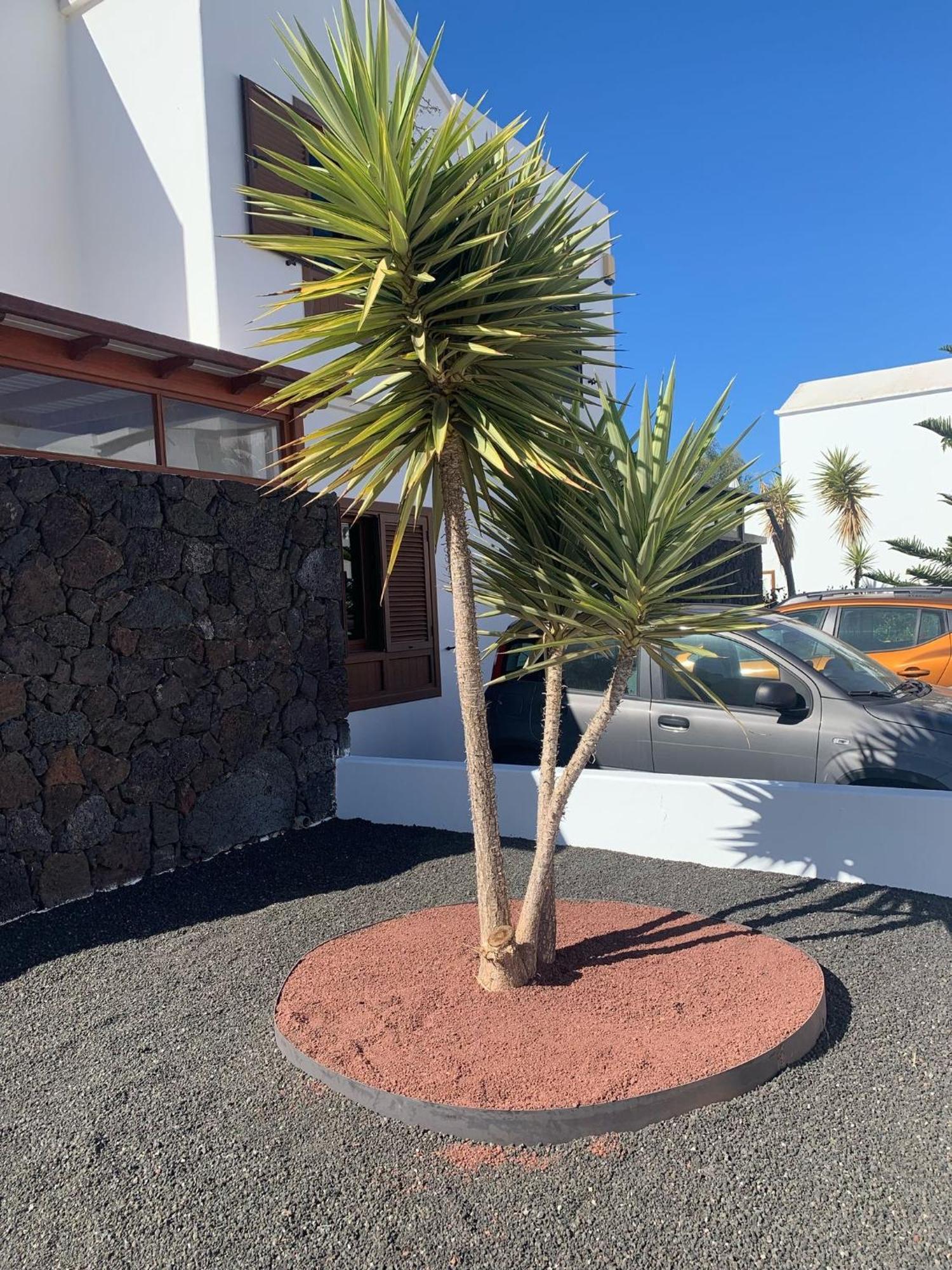 Eric With A Private Stunning Heated Pool * Puerto del Carmen (Lanzarote)