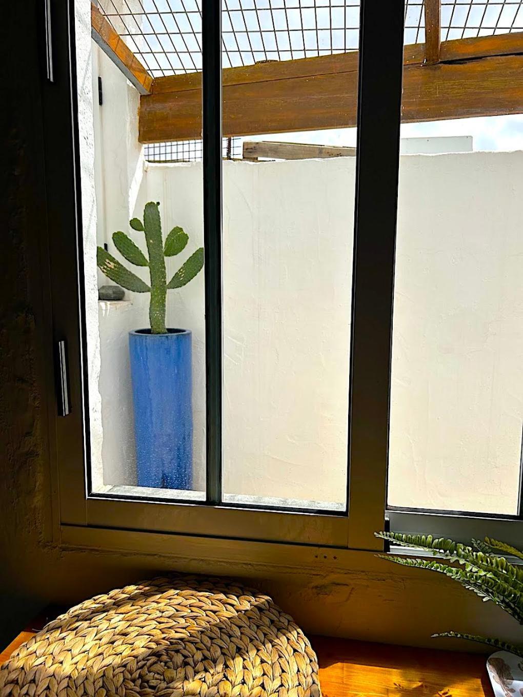 Casa Mialma Lanzarote * Conil