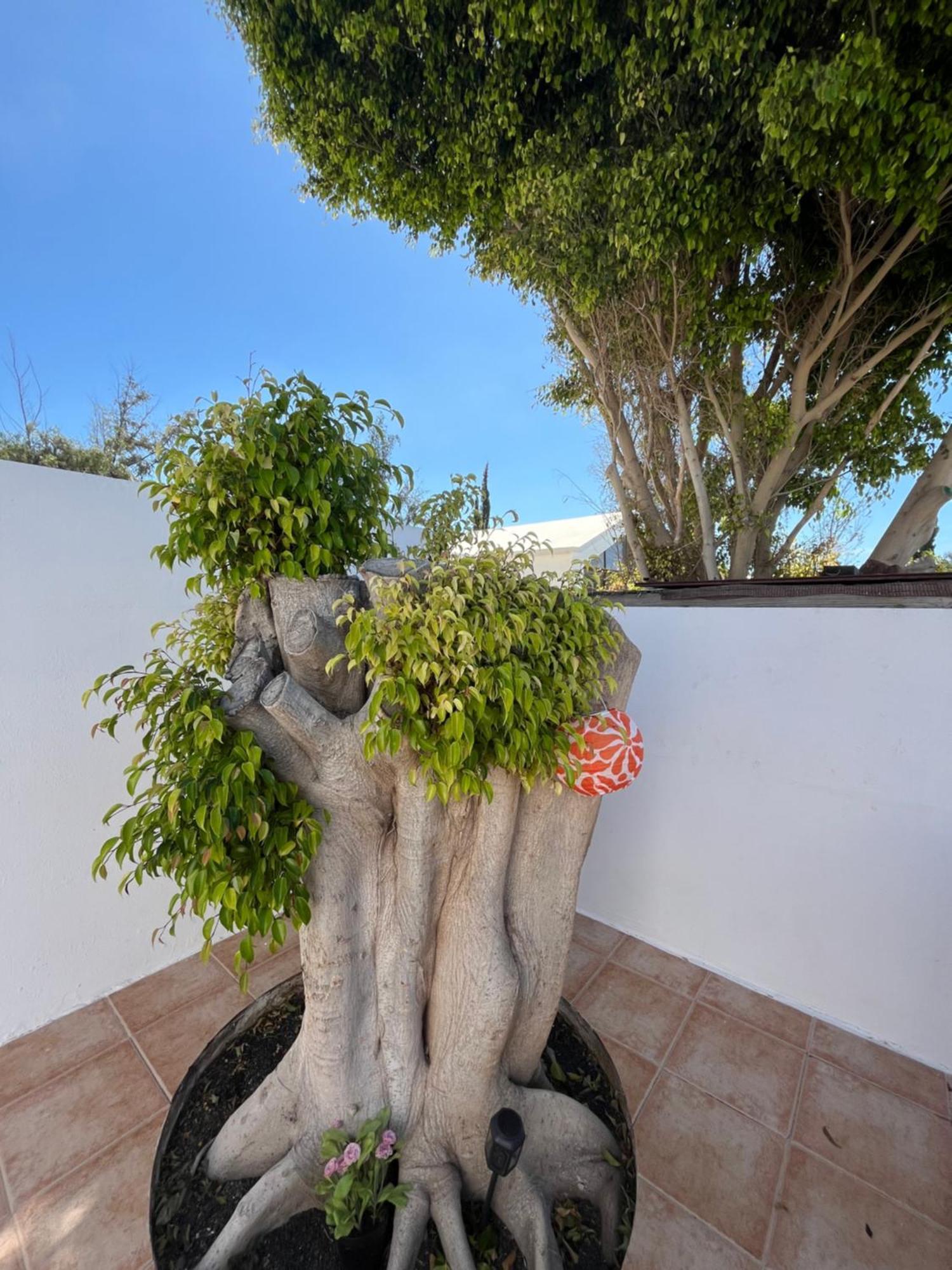 Casa Tina *