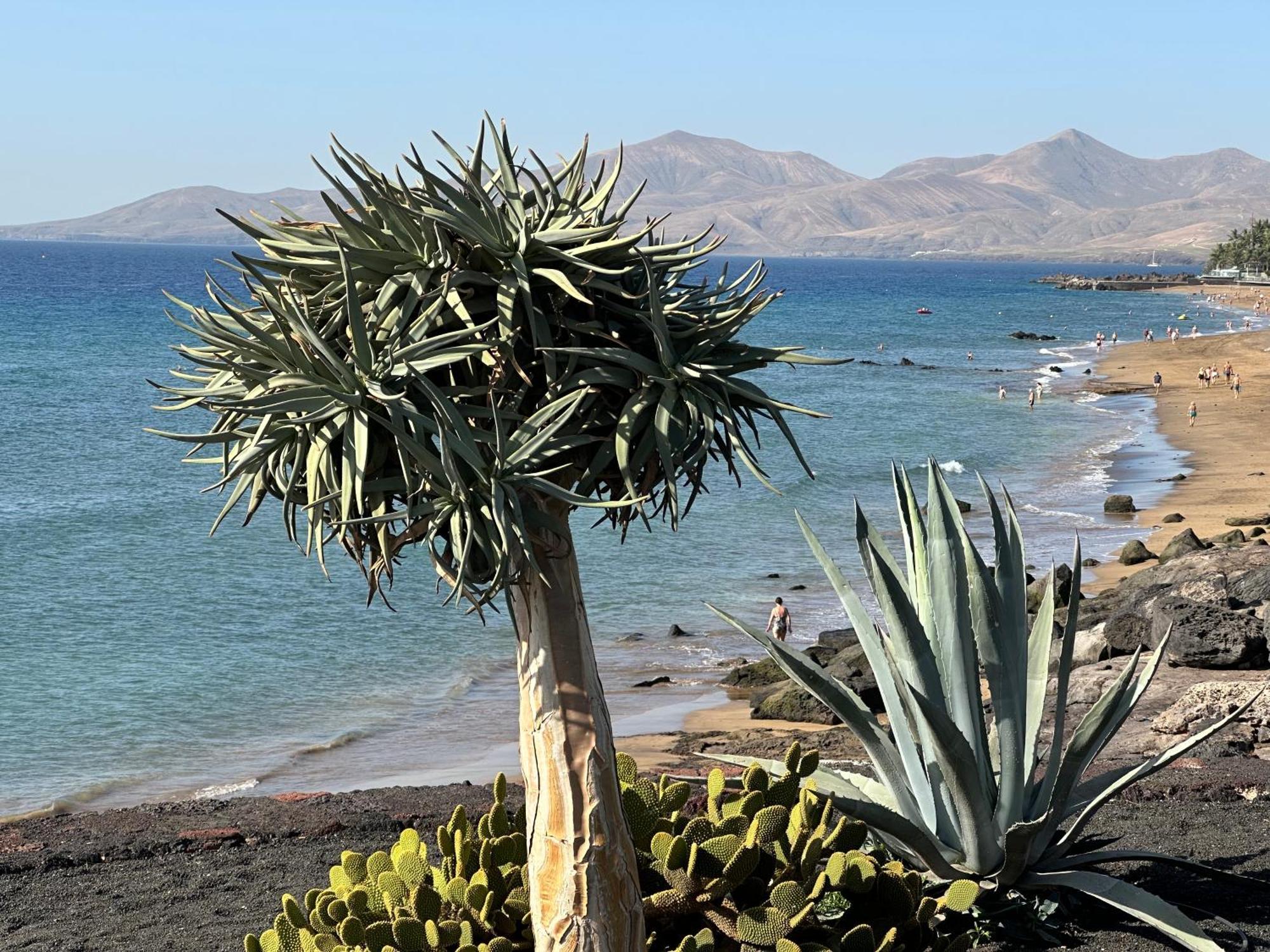 Sea View With Direct Access To Boulevard * Puerto del Carmen (Lanzarote)