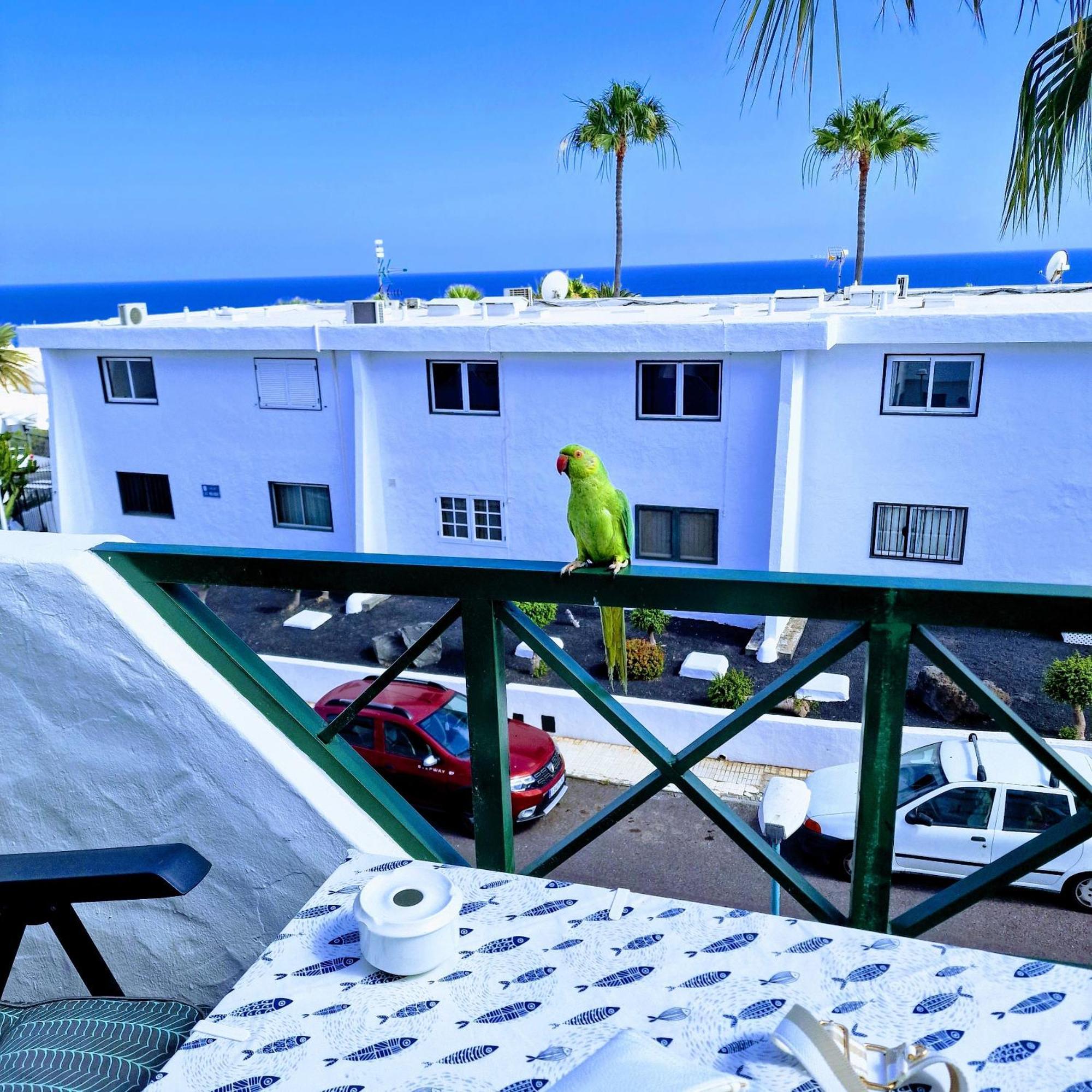 Floor Ocean Views Lanzamar - Renovated Gem With A Sunny, Private Terrace & Elevator & Pool - Puerto Del Carmen Apartment Puerto del Carmen (Lanzarote)
