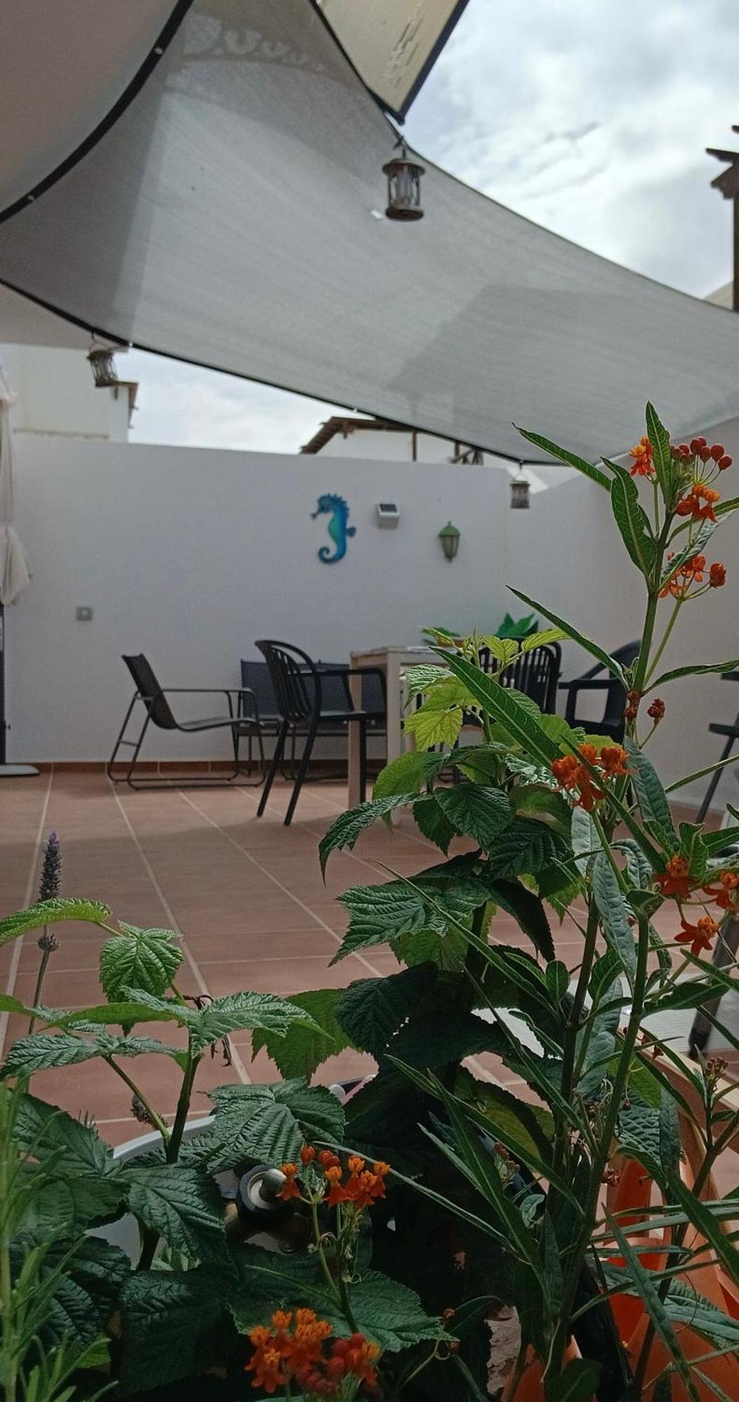 Holiday home Casa Florida *