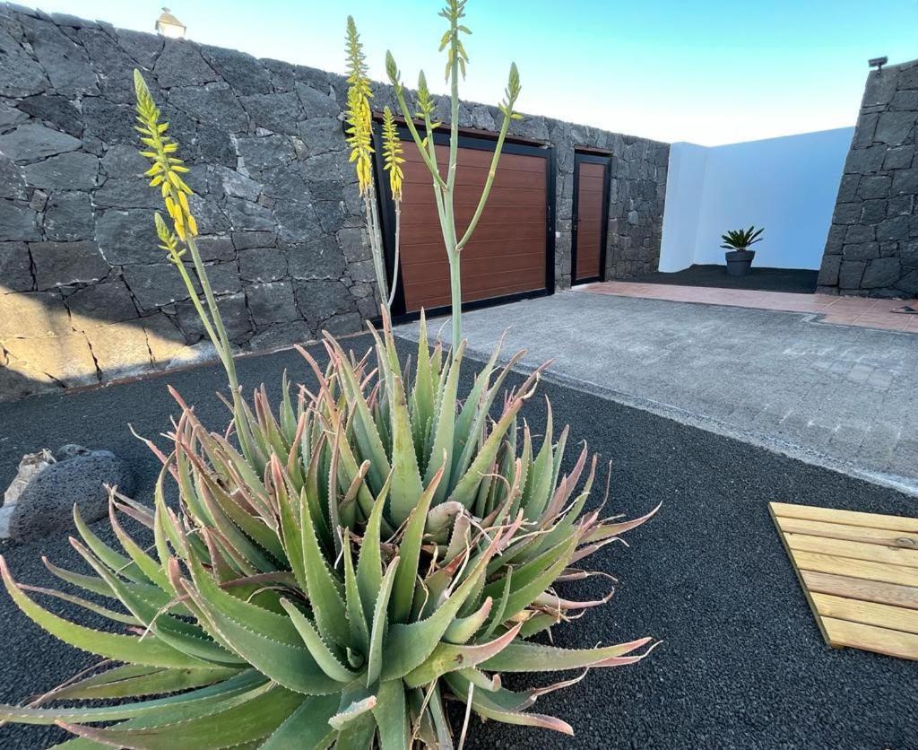 Сasa de vacaciones Aloe 4