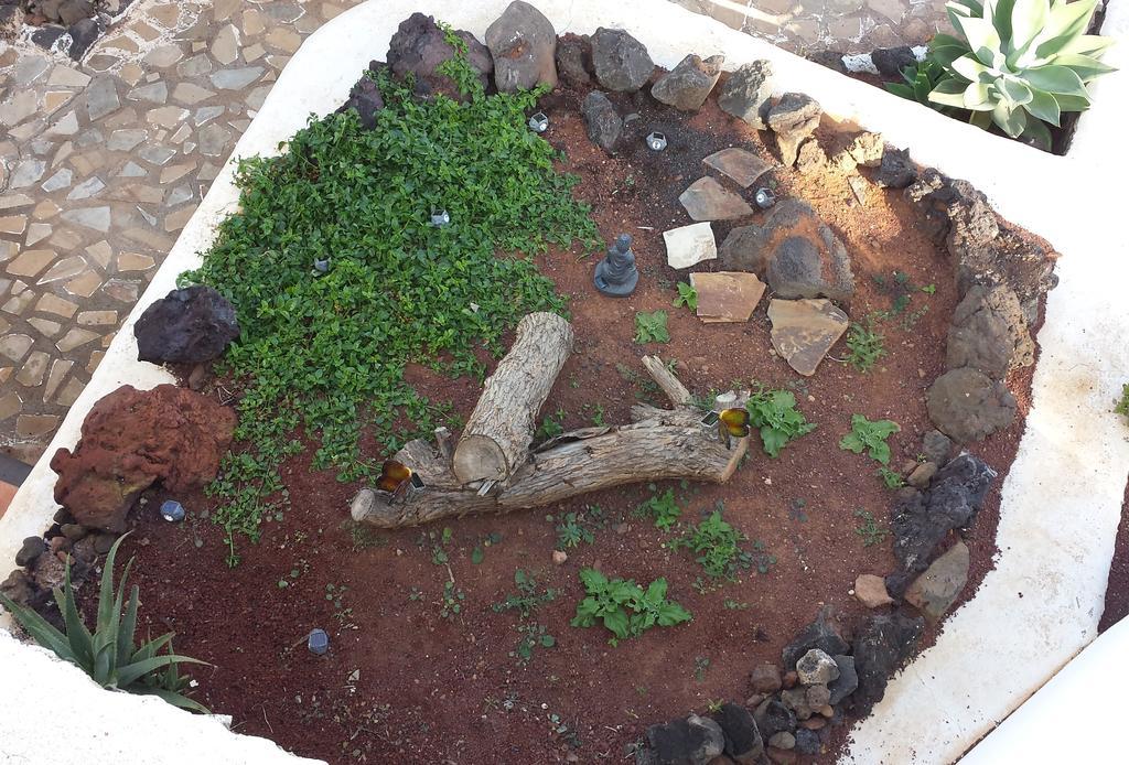Bed and breakfast Chez Laura Yaiza (Lanzarote)