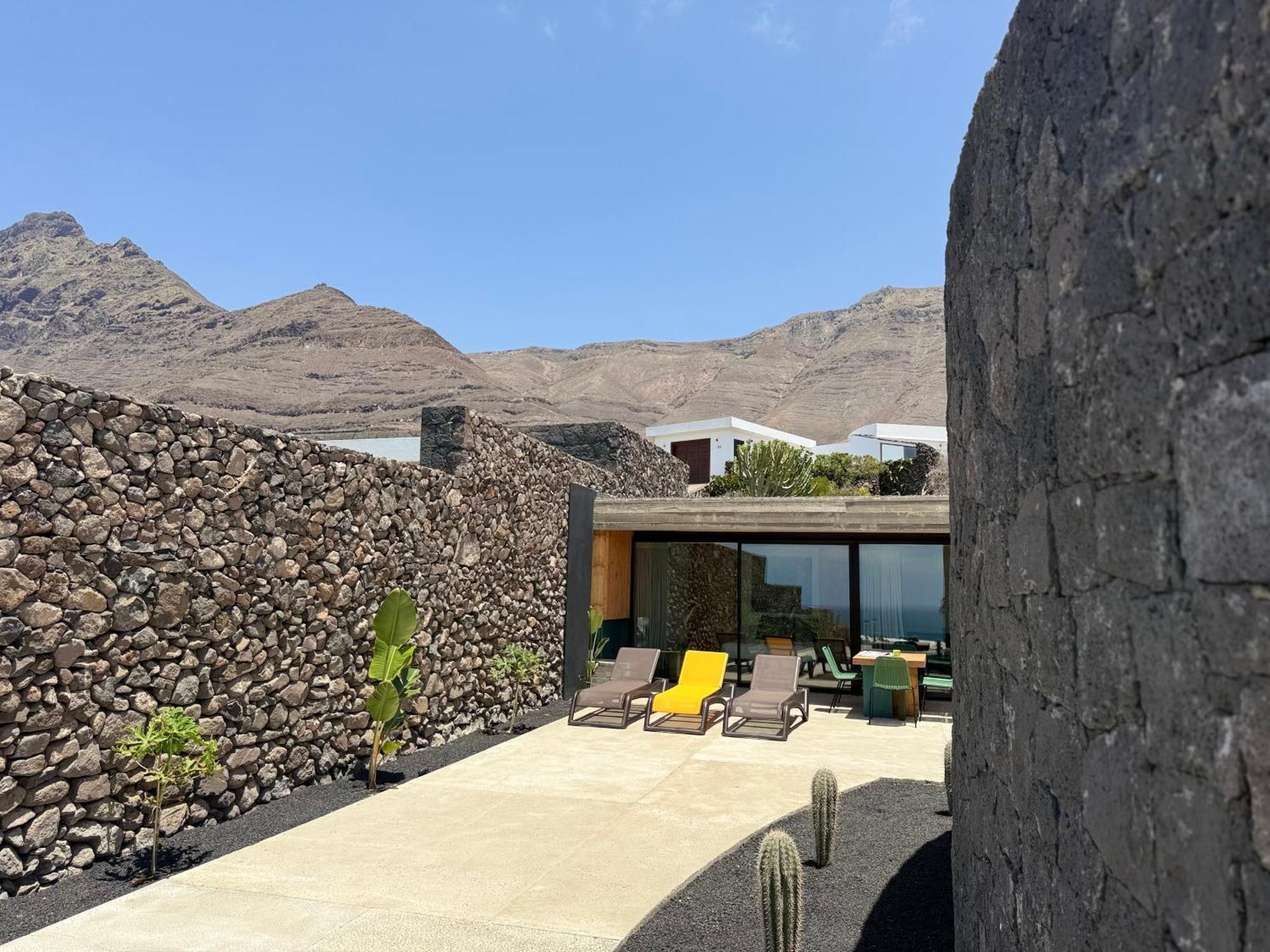 Canaryislandshost I Oliva *
