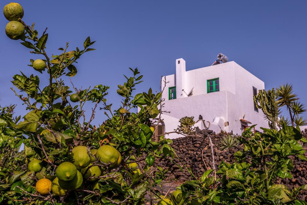 Eco Finca Verde * Arrieta (Lanzarote)