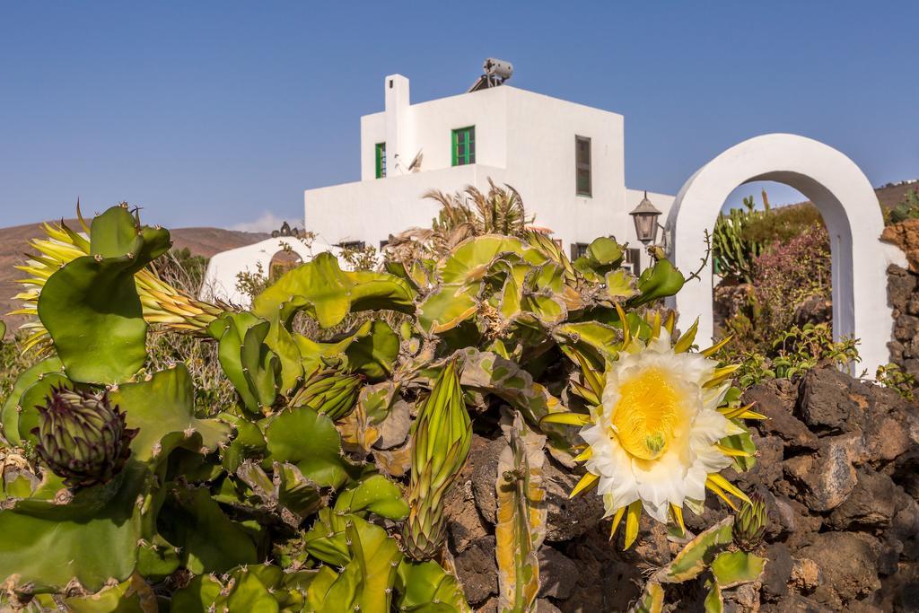 Eco Finca Verde * Arrieta (Lanzarote)