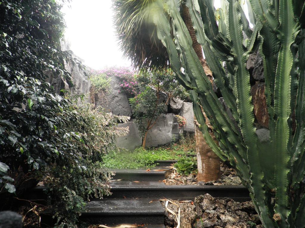 Remedios