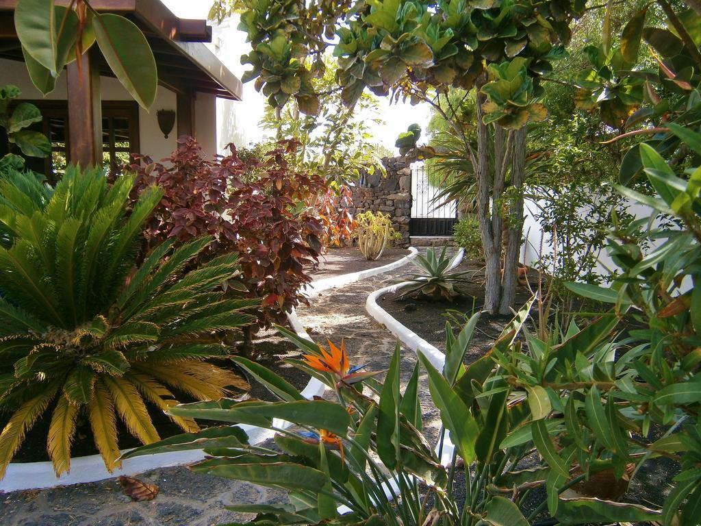 Ana Costa Teguise