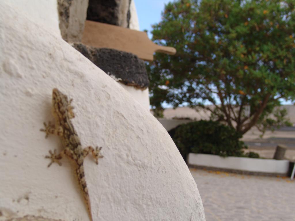 Kalindi Lanzarote Casa rural