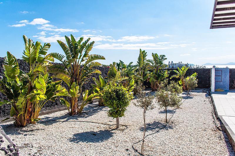 Villa Oasis *