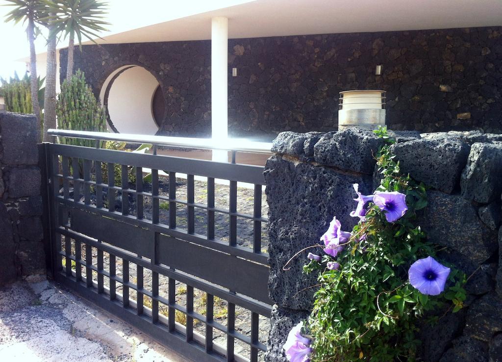 El Erizo Teguise (Lanzarote)