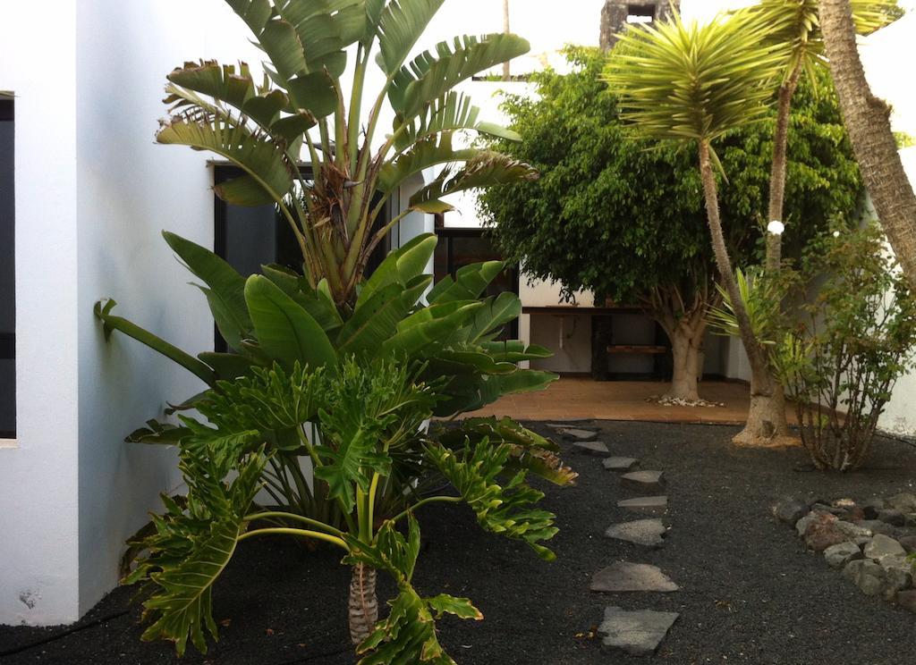 El Erizo Teguise (Lanzarote)