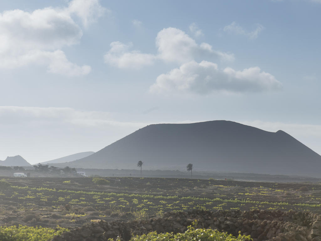 Ecofinca Buenavista Masdache