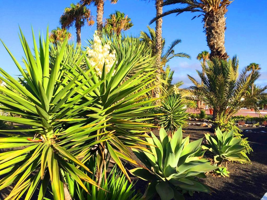 Casita Blanca, Jardin Del Sol 1 Holiday home *