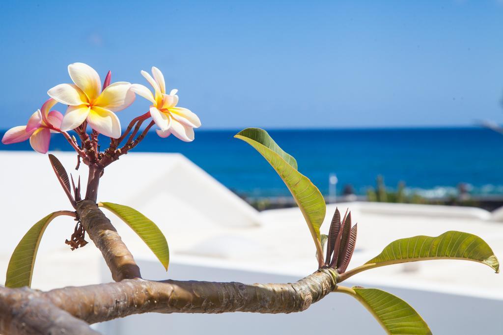 Lagomar Private Pool And Sea Views Arrieta Lanzarote