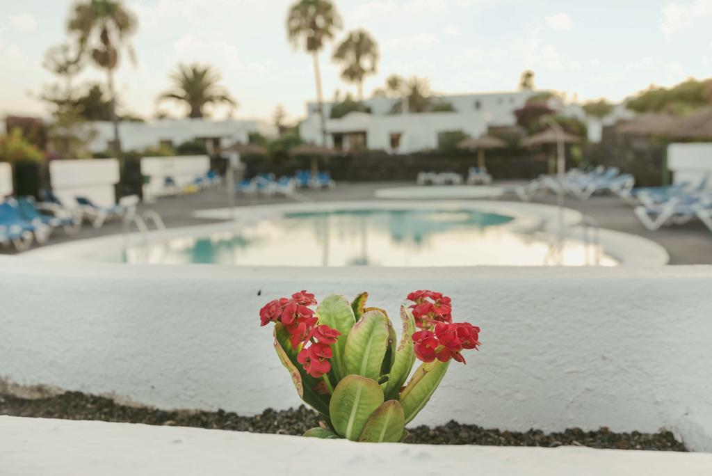 Duplex Joan Puerto del Carmen (Lanzarote)