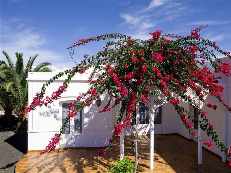 Apartamento Livvo Coloradamar Playa Blanca (Lanzarote)