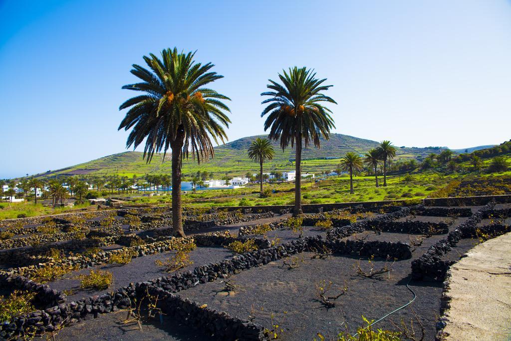 El Palmeral De Aganada * Haría
