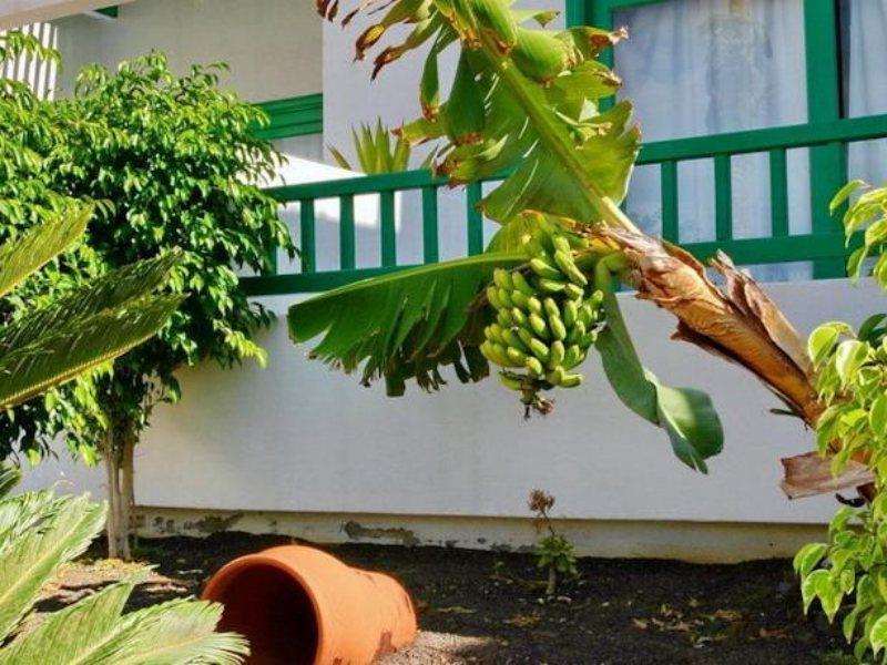 Neptuno - Adults Only * Costa Teguise