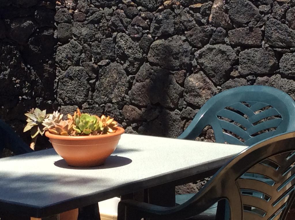 Apartamento Oasis De