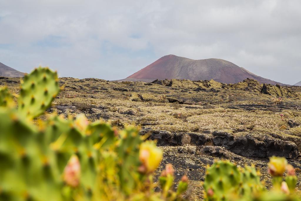 Apartamento Eco Finca Los Frailes Lanzarote *