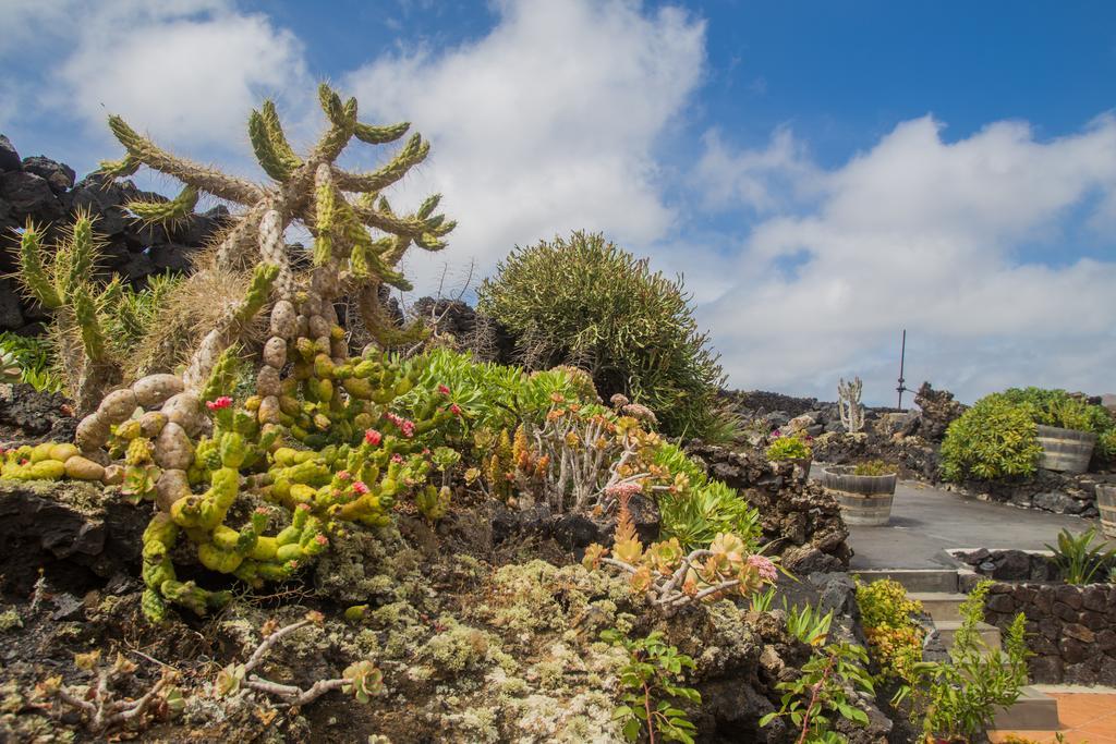 Eco Finca Los Frailes Lanzarote Apartamento Tinajo