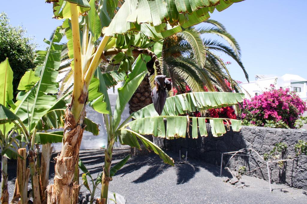 Villa Alisios Playa Blanca (Lanzarote)