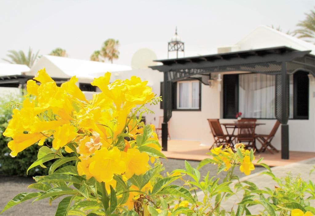 Casa Rosas *