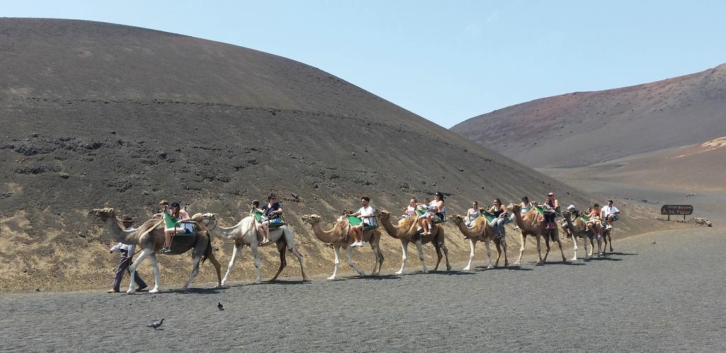 Caserones I * Puerto del Carmen (Lanzarote)